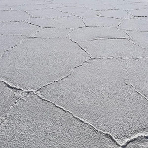 Meet your Posher, Gabriela